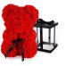 Forentina Rose Melek Kolye küpe Set Teddy Bear Kırmızı Güllü PS1772