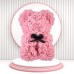 Forentina Rose Yonca Takı Seti Pembe Teddy Bear Hediye Set PS2895